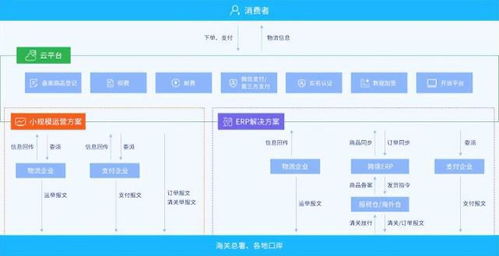 跨境电商风口与变局,是趋势吗